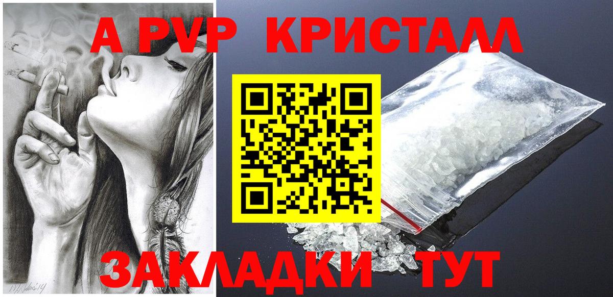 Alfa_PVP СК Коряжма