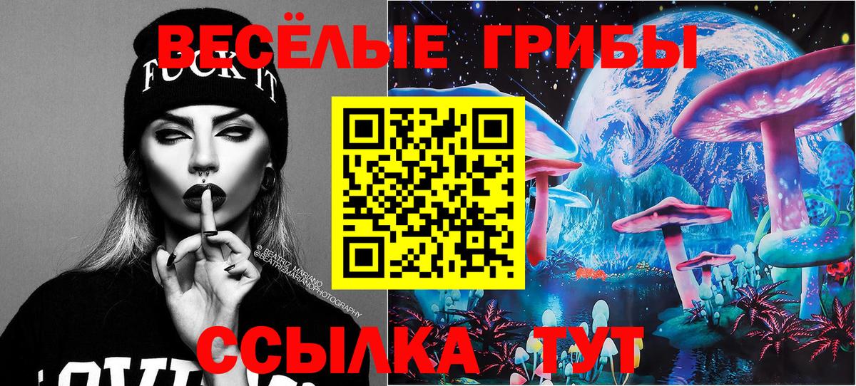Галлюциногенные грибы Psilocybine cubensis  Вход с VPN  Коряжма 