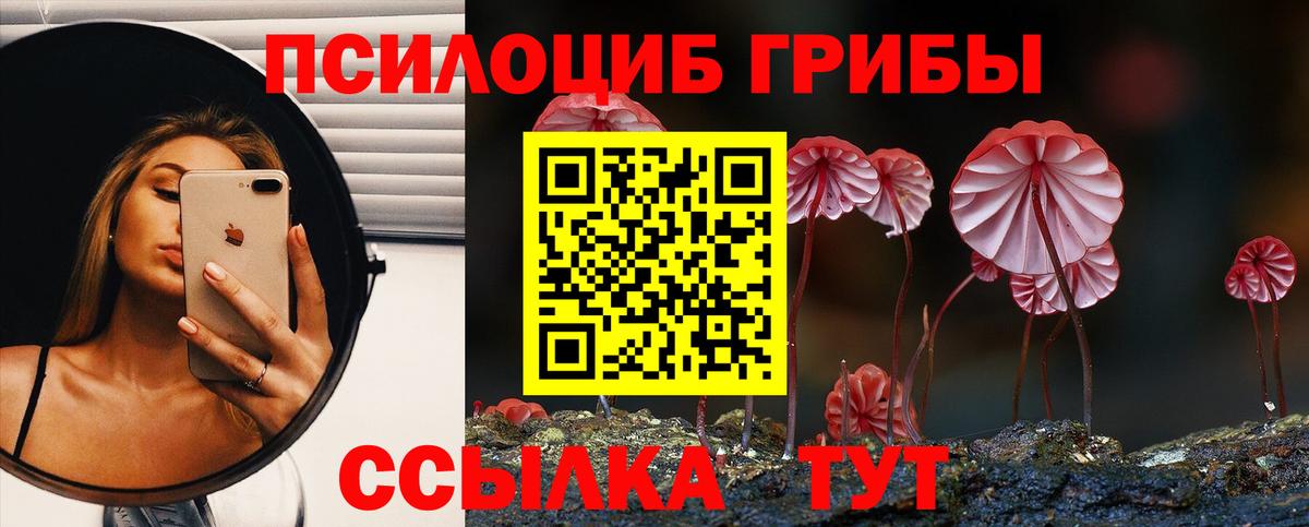 Псилоцибиновые грибы Cubensis Коряжма